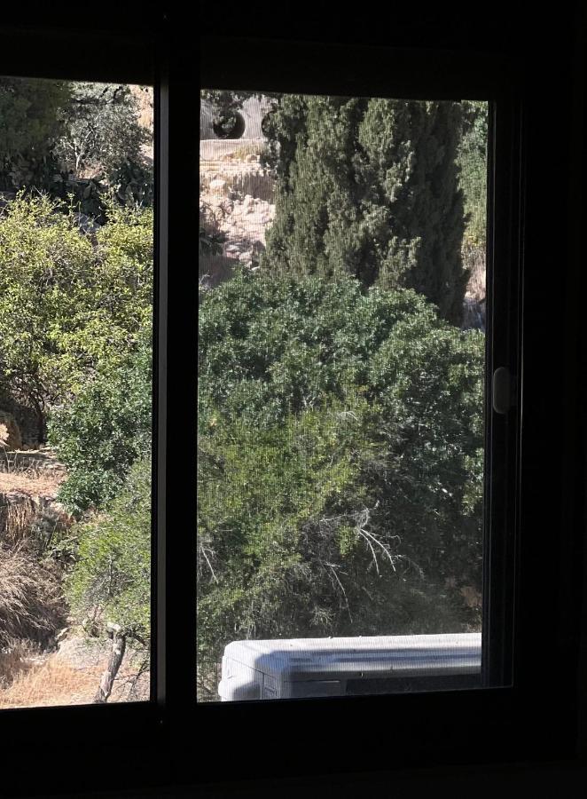 מלון וואדי מוסא Petra Heaven מראה חיצוני תמונה